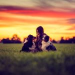 dog-dogs-sunset-sundown-twilight-dusk-girl-love-field-grass