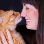 An-orange-tabby-cat-licking-a-human-on-the-nose.jpg